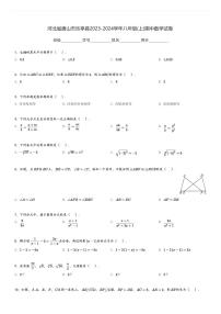 河北省唐山市乐亭县2023-2024学年八年级(上)期中数学试卷(含解析)