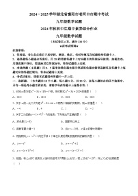 湖北省老河口市2024—2025学年九年级上学期期中考试数学试题