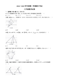 河南省商丘市夏邑县2024-2025学年八年级上学期11月期中数学试题