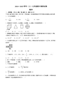 河南省焦作市焦作城乡一体化示范区2024-2025学年七年级上学期11月期中数学试题