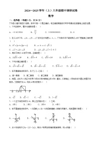 河南省焦作市焦作城乡一体化示范区2024-2025学年八年级上学期11月期中数学试题