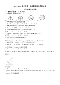 广东省潮州市湘桥区城西初级中学2023-2024学年八年级上学期期中考试数学试卷(无答案)