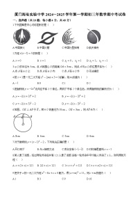 福建省厦门海沧实验中学2024~2025学年上学期 九年级年数学期中考试卷(无答案)