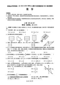 四川省成都市金苹果锦城第一中学2024-2025学年九年级上学期期中考试数学试卷