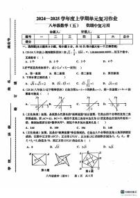 江西省抚州市临川区2024-2025学年八年级上学期11月期中联考数学试题