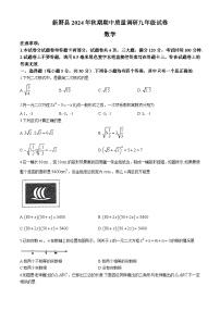 河南省南阳市新野县2024-2025学年九年级上学期11月期中考试数学试题
