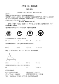 辽宁省大连市高新园区2024-2025学年八年级上学期期中数学试题