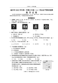 2023-2024学年浙江省温州市八年级（上）期末数学试卷