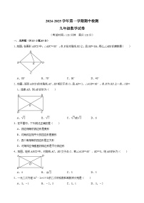 广东省清远市连南县2024-2025学年九年级上学期期中检测数学试卷