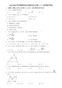 福建省泉州市德化县2023-2024学年九年级上学期期末数学试题