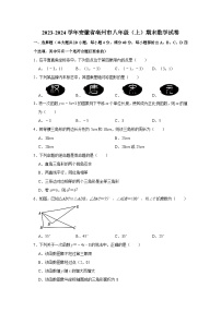 2023-2024学年安徽省亳州市部分学校八年级（上）期末数学试卷