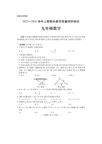 2023-2024学年河南省鹤壁市淇滨区九年级（上）期末数学试卷