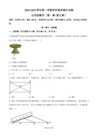 广东深圳龙岗区2024-2025学年九年级上学期期中考试数学试题（含答案）