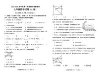 广东省茂名市高州市部分学校联考2024-2025学年九年级上学期11月期中数学试题（含答案）