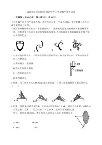湖北省武汉市江岸区2024-2025学年八年级数学上册期中试卷（含答案）