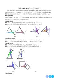 全等与相似模型-手拉手模型练习-中考数学专题