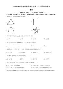 福建厦门松柏中学2023-2024学年九年级上学期月考数学试题