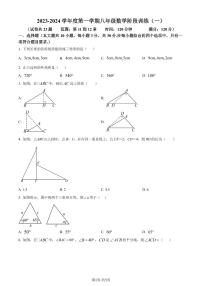 广东省湛江市廉江市2023-2024学年八年级上学期月考数学试题