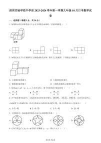 深圳实验学校中学部2023年九年级上学期月考数学试题