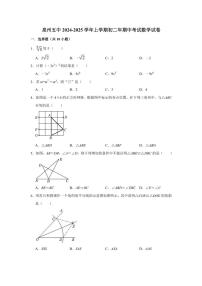 福建省泉州第五中学2024～2025学年八年级(上)期中数学试卷(含详解)