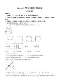 河南省平顶山郏县2024_2025学年九年级(上)数学期中测试卷(含答案)