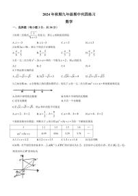 河南省南阳市南召县2024～2025学年九年级(上)期中数学试卷(含答案)