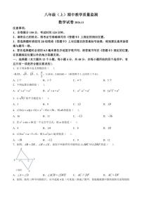 四川省眉山市洪雅县2024～2025学年八年级(上)期中数学试卷(含答案)