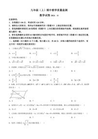 四川省眉山市洪雅县2024～2025学年九年级(上)期中数学试卷(含答案)