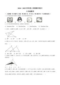 江西省赣州市安远县2024～2025学年八年级(上)期中数学试卷(含答案)