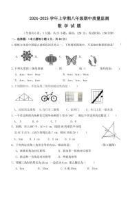 福建省南平市政和县2024～2025学年八年级(上)期中数学试卷(含答案)