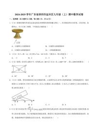 广东省深圳市盐田区2024～2025学年九年级(上)期中数学试卷(含答案)