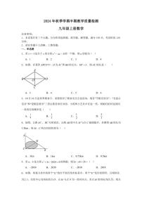 贵州省毕节市金沙县2024～2025学年九年级(上)期中联考数学试卷(含解析)
