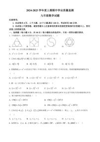 河南省漯河市临颍县2024～2025学年九年级(上)期中数学试卷(含答案)