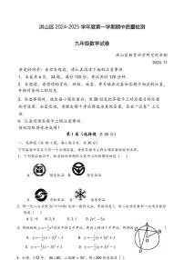 湖北省武汉市洪山区2024～2025学年九年级(上)期中数学试卷(含答案)