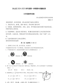湖北省武汉市洪山区2024～2025学年九年级(上)期中数学试卷(含答案)