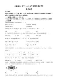 河南省焦作市焦作城乡一体化示范区2024～2025学年九年级(上)期中数学试卷(含答案)