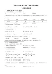 河南省三门峡市灵宝市2024～2025学年七年级(上)期中数学试卷(含答案)