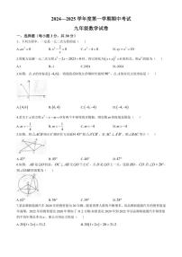 河南省商丘市夏邑县2024～2025学年九年级(上)期中数学试卷(含答案)