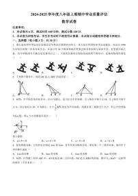 河南省漯河市召陵区2024～2025学年八年级(上)期中数学试卷(含答案)