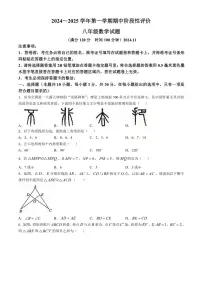 河南省濮阳市范县2024～2025学年八年级(上)期中数学试卷(含答案)