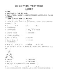 河南省周口市商水县2024～2025学年八年级(上)数学期中测试卷(含答案)