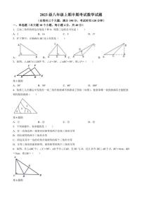 重庆市潼南区初中学校联考2024～2025学年八年级(上)期中数学试卷(含答案)