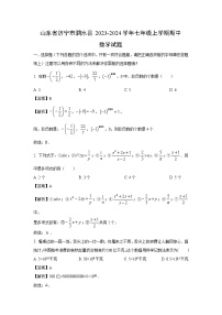 山东省济宁市泗水县2023-2024学年七年级上学期期中数学试卷（解析版）