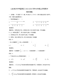 山东省济宁市嘉祥县2023-2024学年七年级上学期期中数学试卷（解析版）