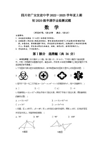 四川省广安友谊中学2022-2023学年九年级上学期期中检测数学试题