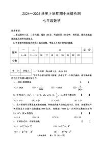 河南省三门峡市渑池县2024-2025学年七年级上学期期中学情检测数学试题