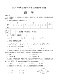 河南省南阳市淅川县2024-2025学年八年级上学期期中阶段调研数学试卷