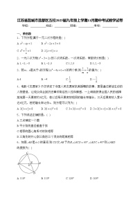 江苏省盐城市盐都区五校2025届九年级上学期11月期中考试数学试卷(含答案)