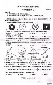 辽宁省大连市普兰店区2024--2025学年上学期九年级数学期中试卷