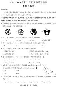 河南省许昌市长葛市2024-2025学年九年级上学期期中质量监测数学试题